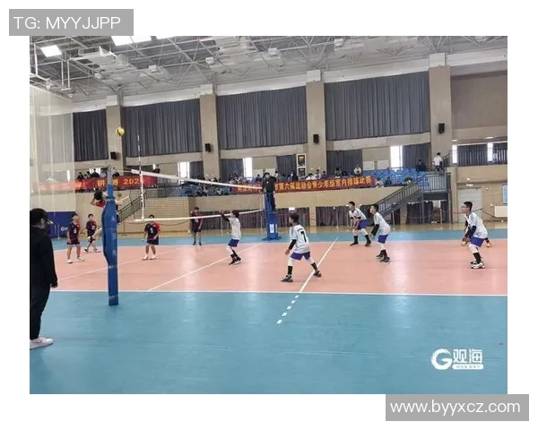 成都排球队在全国排球团队协作排行榜中荣获第六名的佳绩分析