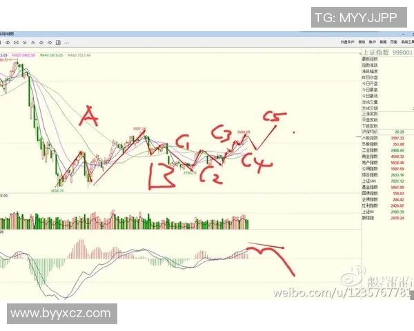 杭州网球队防守策略解析与技术特点探讨
