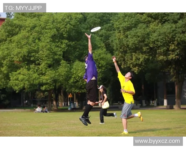 飞盘专题：探索上海飞盘队在速度与技巧上的完美结合与发展