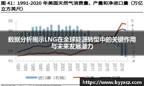 数据分析揭示LNG在全球能源转型中的关键作用与未来发展潜力