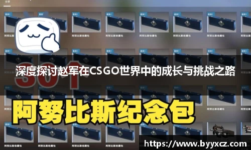 深度探讨赵军在CSGO世界中的成长与挑战之路